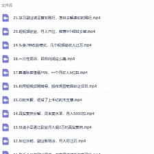 张磊21堂副业培训课：让小白学会副业赚钱，通俗易懂简单易上手